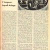 DVG brandstoffilter "Express tuning" / "Vintage Speed" - Image 9